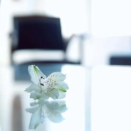 דירה Rue De Ponthieu Furnished